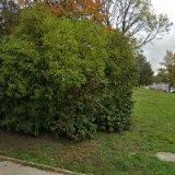 COMPUTER DEPARTMENT spol. s r.o.