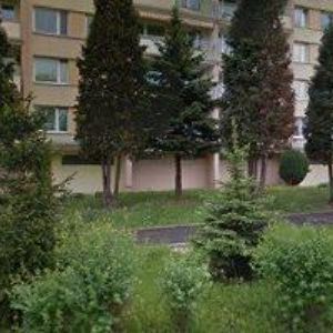 obrazek: avatar ŠTARK JIŘÍ