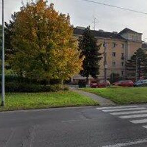 obrazek: avatar WÖLFELOVÁ ILONA PhDr.