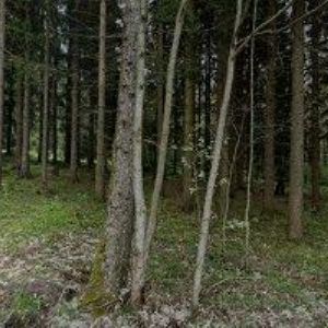 obrazek: avatar METALL QUATRO spol. s r.o.