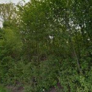 obrazek: avatar MONOSH s.r.o.