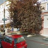 AK-VALNÁ VĚRA Mgr.