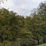TANEČNÍ KURZY MANŽELŮ ROTTENBORNOVÝCH