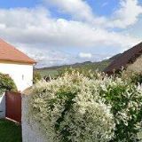 KOS MILOSLAV-SKLENÁŘSTVÍ