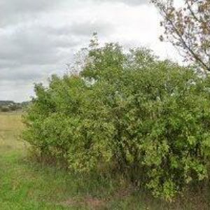 obrazek: avatar VODEST , s.r.o.