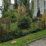 BOROVANSKÝ PAVEL-NATURABOR