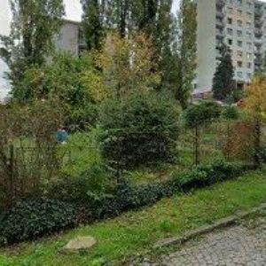 obrazek: avatar BOROVANSKÝ PAVEL-NATURABOR
