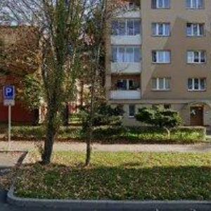 obrazek: avatar TRMAL MICHAL MUDr.