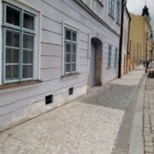 obrazek: avatar OBLASTNÍ MUZEUM V LOUNECH