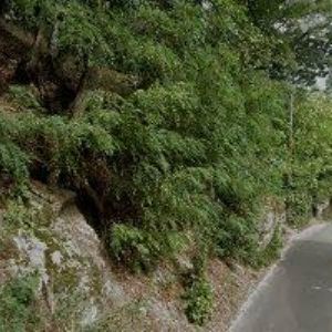 obrazek: avatar HROMAS VACLAV