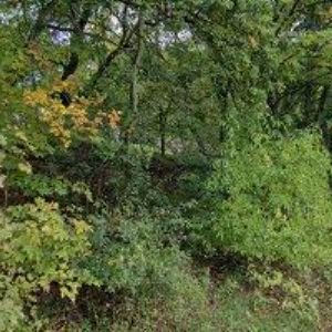 obrazek: avatar VITNEROVÁ DANIELA-KOSMETIKA