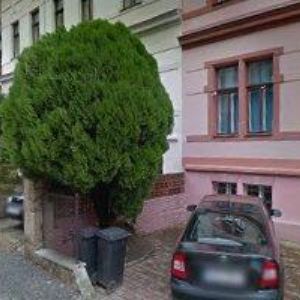 obrazek: avatar HINGAR MARTIN