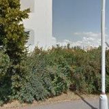 CYTERÁKOVÁ JOLANKA