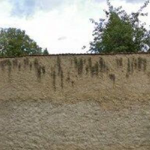 obrazek: avatar VÍTKOVÁ KATEŘINA