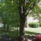 FISCHEROVÁ HANHUR LENKA