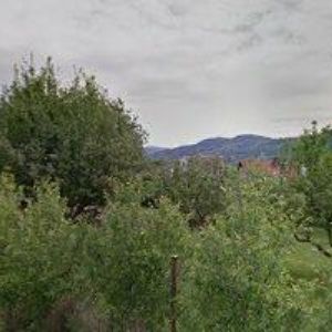 obrazek: avatar HORÁK PETR