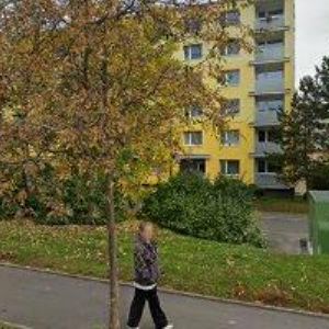 obrazek: avatar MŠ HVĚZDIČKA