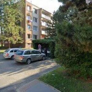 obrazek: avatar RICHTER JOSEF