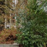 SEVEROČESKÁ STAVEBNÍ , a.s.