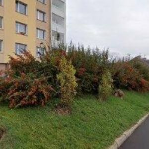 obrazek: avatar HASNEDL OTTO Ing.-VÝŠKOVÉ PRÁCE