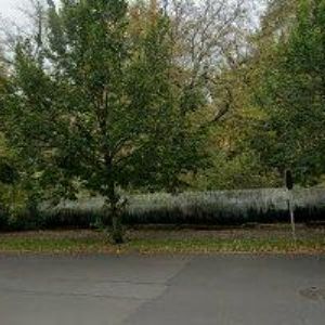 obrazek: avatar PROFIMEDEA