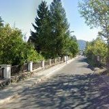 DOLEŽÁLKOVÁ RADANA PhDr.Mgr.