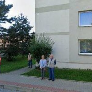 obrazek: avatar CITA DALIBOR