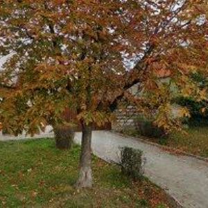 obrazek: avatar HARTÁN BEDŘICH