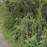 PIONÝR-ÚSTECKÁ KRAJSKÁ ORGANIZACE PIONÝRA