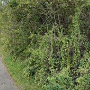 obrazek: avatar PIONÝR-ÚSTECKÁ KRAJSKÁ ORGANIZACE PIONÝRA