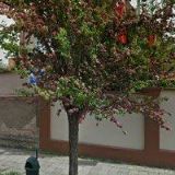 TOPENÁŘSTVÍ ŠTRÉBL s.r.o.