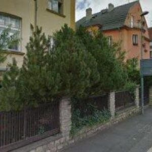 obrazek: avatar POLJAK ALEŠ