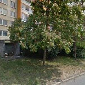 obrazek: avatar ČESKÝ RYBÁŘSKÝ SVAZ, MÍSTNÍ ORGANIZACE SE SÍDLEM V CHOMUTOVĚ