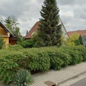 obrazek: avatar PATYK RADEK