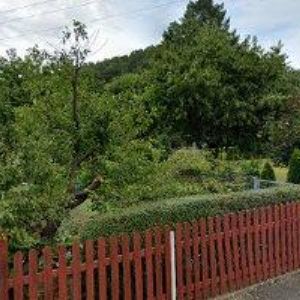 obrazek: avatar KUBÁLEK VLADISLAV