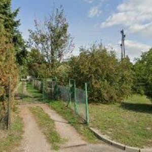 obrazek: avatar KRCH RUDOLF