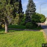 MĚSTO Velký Šenov