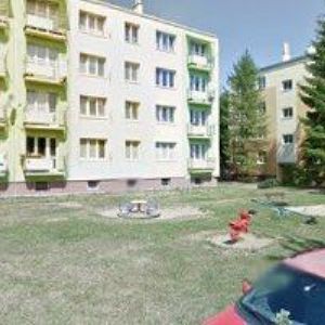 obrazek: avatar HON ROMAN