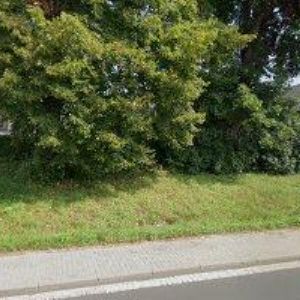 obrazek: avatar ŘEHÁK MILOSLAV Ing.