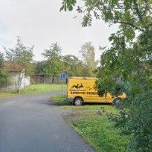 obrazek: avatar GACR-GREYHOUND ADOPTION CZECH REPUBLIC