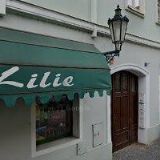 SEVEROČESKÁ GALERIE VÝTVARNÉHO UMĚNÍ V LITOMĚŘICÍCH