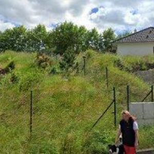 obrazek: avatar BRIEŽNIKOVÁ JITKA Ing.