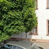 SBOR BRATRSKÉ JEDNOTY BAPTISTŮ V LOVOSICÍCH