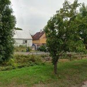 obrazek: avatar PULZOVÁ BARBORA