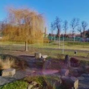 obrazek: avatar ASOCIACE CHOVATELŮ PLEMENE ANGUS