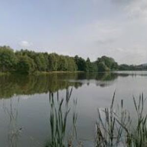 obrazek: avatar OBEC Rybniště