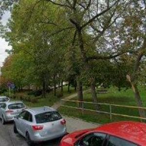 obrazek: avatar CHOUTKA PAVEL-MACH DESING