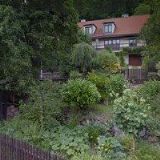 ROŠČÁKOVÁ ŠÁRKA