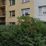 PÍSAŘÍKOVÁ IRENA Mgr.