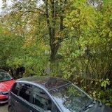 DOUBRAVOVÁ JANA PhDr.